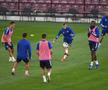 Dan Petrescu anunță că are bagajul la ușă: „Pot pleca după meciul cu croații”