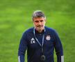 Dan Petrescu anunță că are bagajul la ușă: „Pot pleca după meciul cu croații”