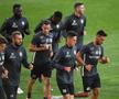 Dan Petrescu anunță că are bagajul la ușă: „Pot pleca după meciul cu croații”