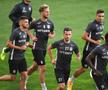 Dan Petrescu anunță că are bagajul la ușă: „Pot pleca după meciul cu croații”