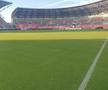 inainte de hermannstadt - fcsb, runda #7