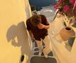 Armand Duplantis, recordman mondial la săritura cu prăjina, vacanță în Grecia Foto: Instagram