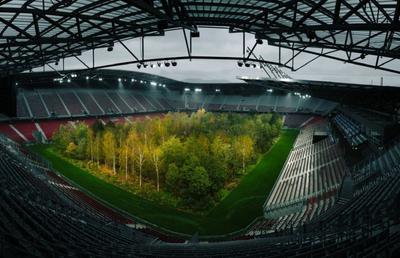 FOTO Imagini incredibile cu un stadion de la Euro 2008! O pădure a ocupat terenul de joc