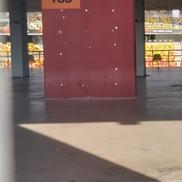 Cum se prezintă gazonul de pe Arena Națională înainte de FCSB - RFS / Foto: Marius Mărgărit