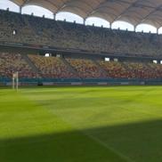 Cum se prezintă gazonul de pe Arena Națională înainte de FCSB - RFS / Foto: Marius Mărgărit