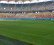 Cum se prezintă gazonul de pe Arena Națională înainte de FCSB - RFS / Foto: Marius Mărgărit