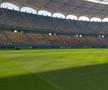 Cum se prezintă gazonul de pe Arena Națională înainte de FCSB - RFS / Foto: Marius Mărgărit
