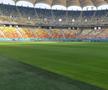 Cum se prezintă gazonul de pe Arena Națională înainte de FCSB - RFS / Foto: Marius Mărgărit