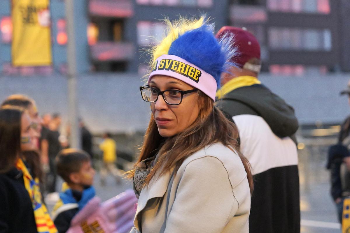 Imagini înainte de Suedia - România // foto: Andrei Furnigă (GSP.ro)