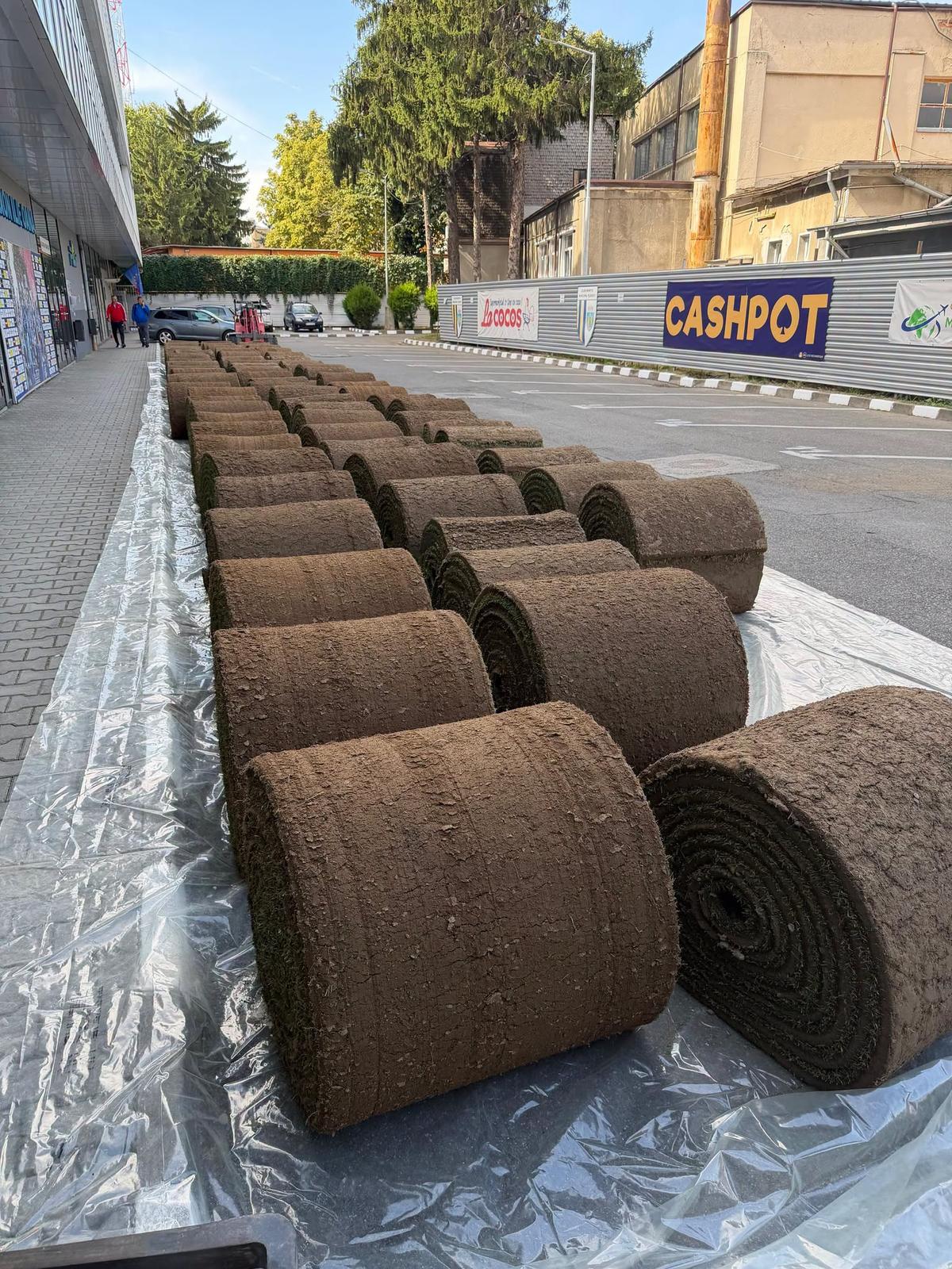 Gazon „Ilie Oană” - 21 septembrie 2026