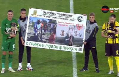 Campania de adopție a câinilor fără stăpân, proiect demarat de LPF, a ajuns și în străinătate » Meciul la care fotbaliștii au ieșit cu câini în brațe