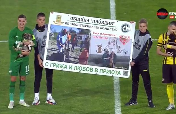 Campania de adopție a câinilor fără stăpân, proiect demarat de LPF, a ajuns și în străinătate » Meciul la care fotbaliștii au ieșit cu câini în brațe