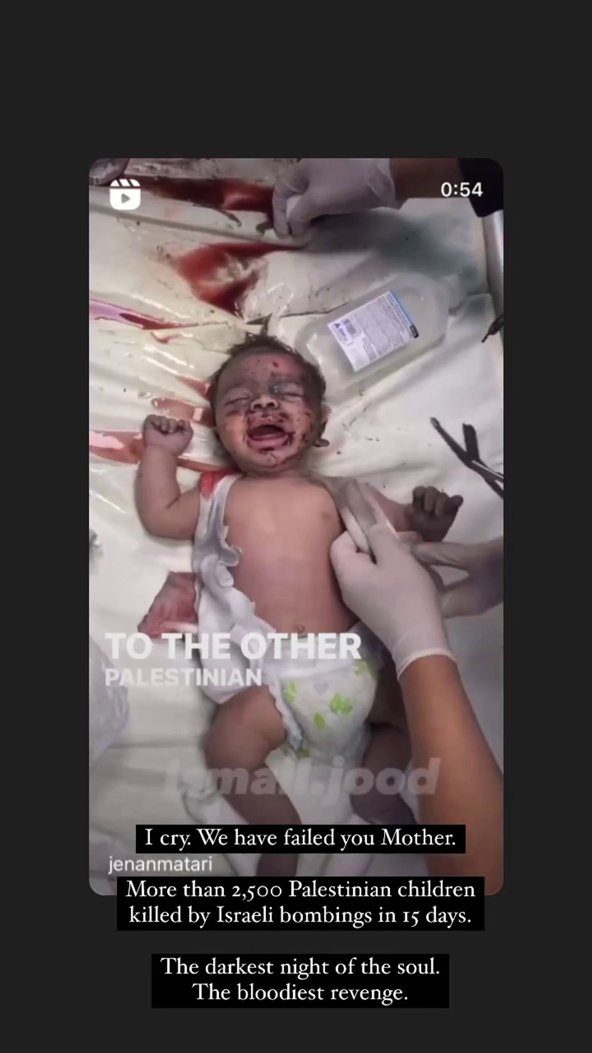 FOTO Raluca Zenga, mesaje de susținere pentru Palestina