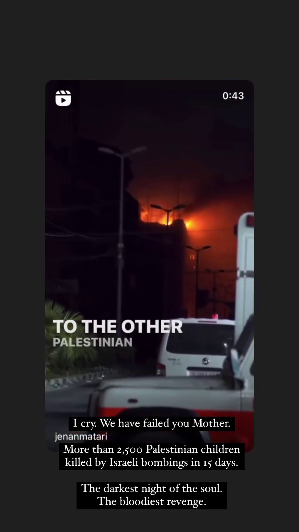 FOTO Raluca Zenga, mesaje de susținere pentru Palestina