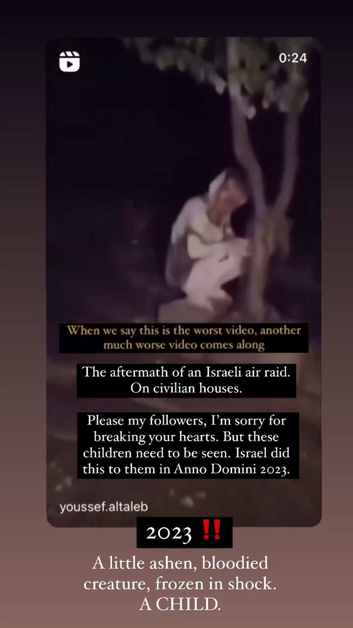 FOTO Raluca Zenga, mesaje de susținere pentru Palestina