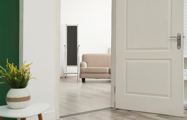 Cele mai bune tipuri de uși pentru o locuință sigura și confortabila