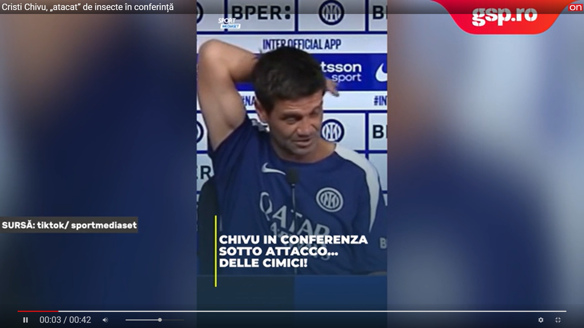 Cristi Chivu, „atacat” de insecte în conferință, înainte de Napoli - Inter