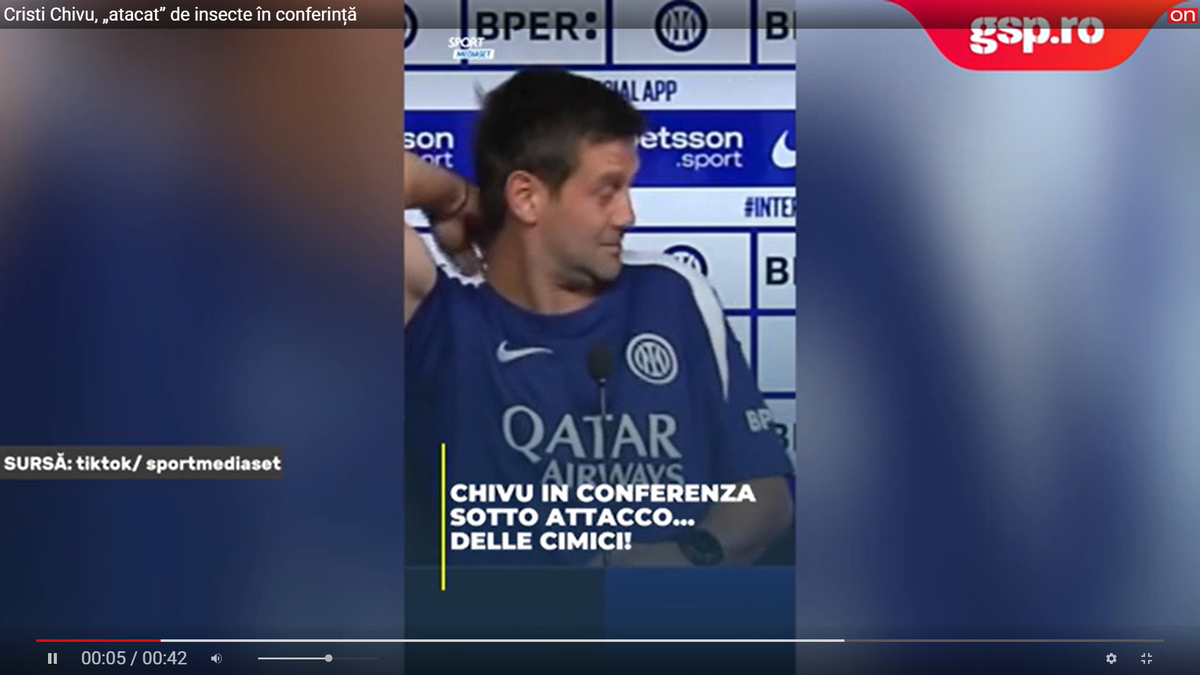 Cristi Chivu, „atacat” de insecte în conferință, înainte de Napoli - Inter