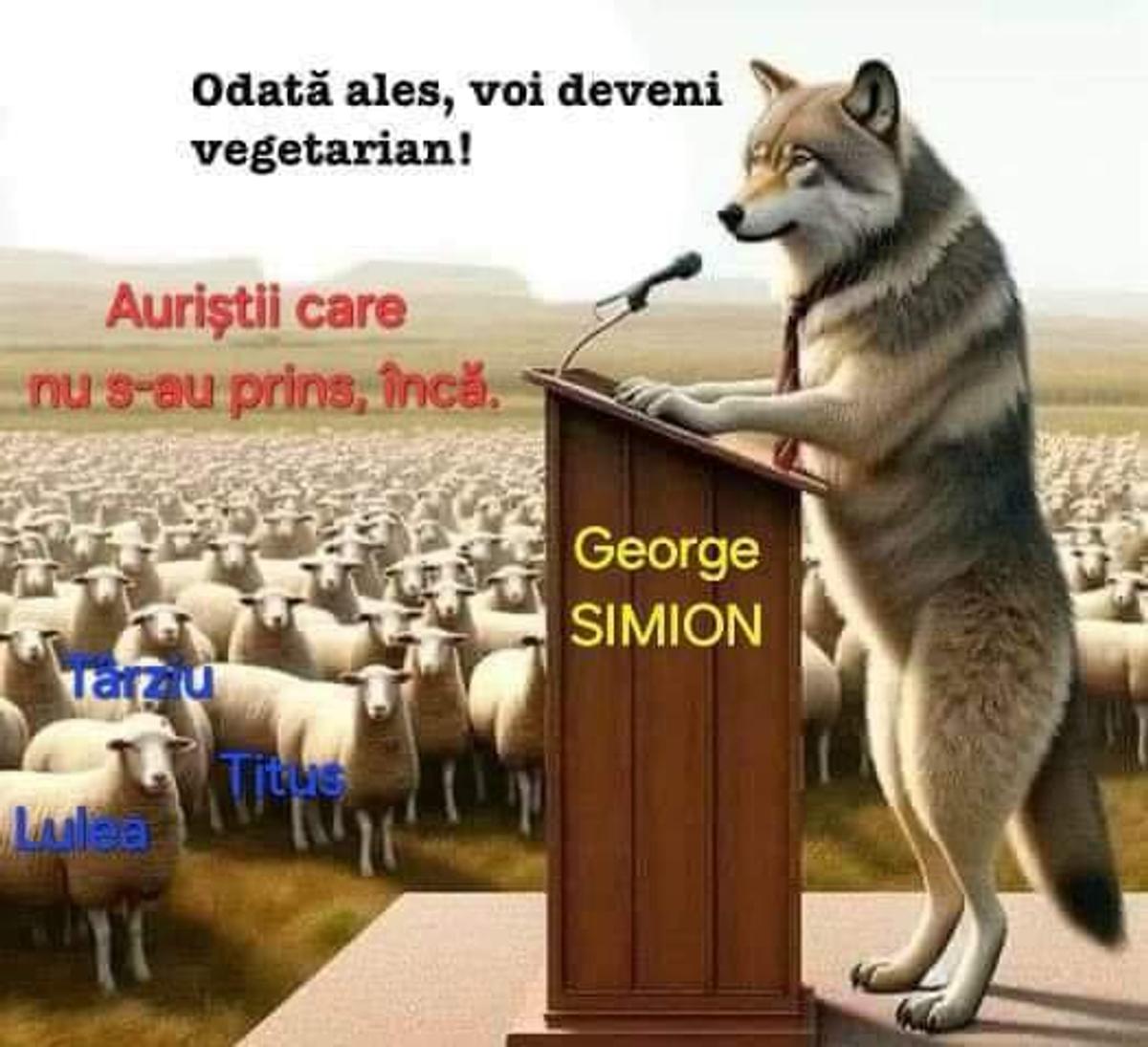 Cele mai tare meme-uri la alegerile prezidențiale Călin Georgescu vs Elena Lasconi