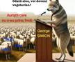 Cele mai tare meme-uri la alegerile prezidențiale Călin Georgescu vs Elena Lasconi