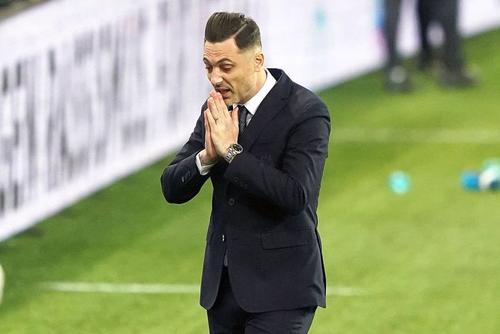Mirel Rădoi, ex-selecționer România