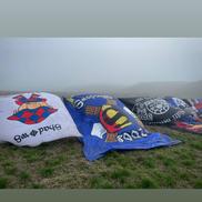 Peluza Sud Dinamo revendică steagurile grupării steliste Shadows // FOTO: Instagram @fcd.sud