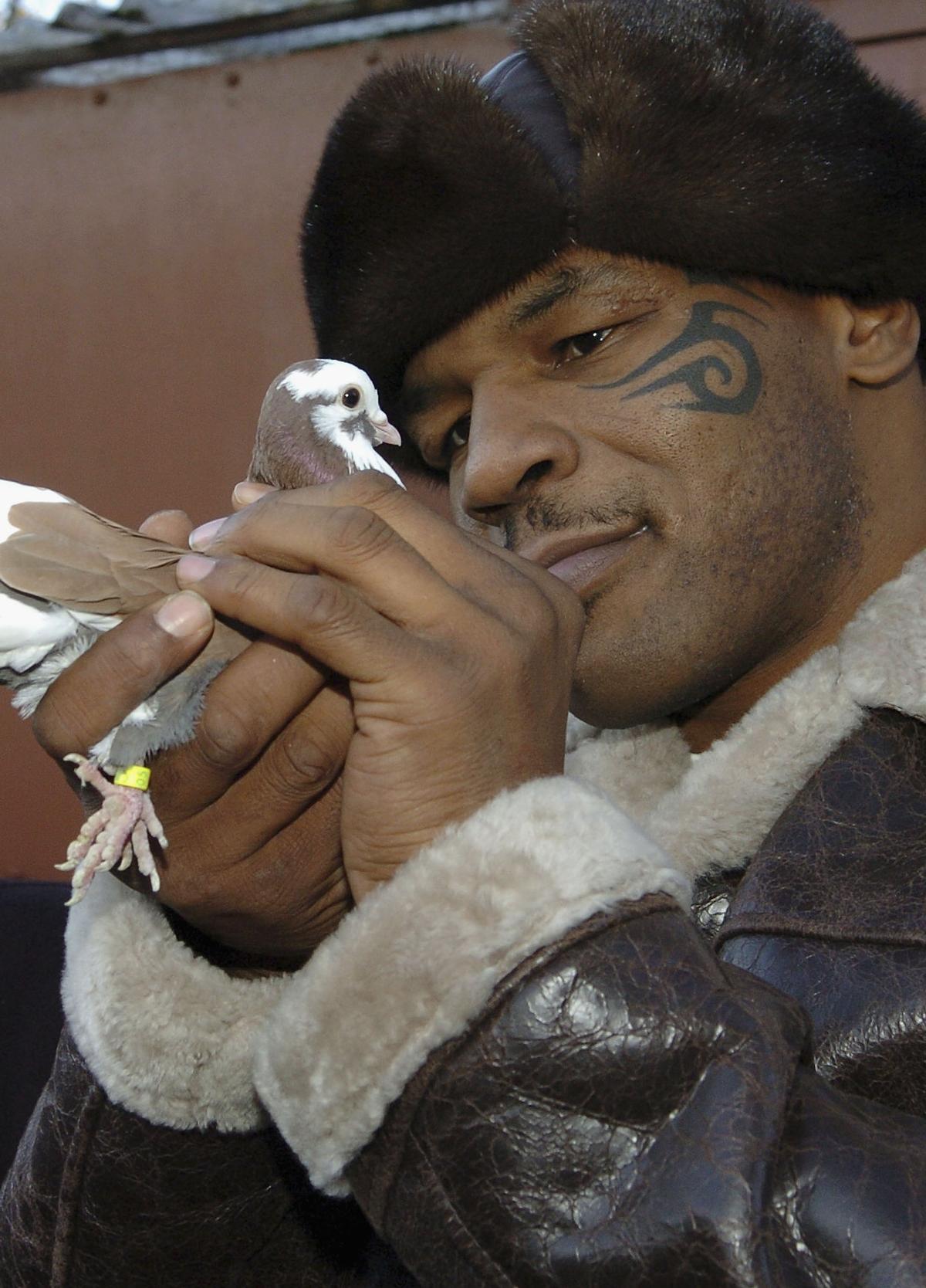 FOTO Mike Tyson, editorial răvășitor: de unde a căpătat pasiunea pentru porumbei și momentul care l-a motivat să devină pugilist profesionist