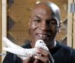 FOTO Mike Tyson, editorial răvășitor: de unde a căpătat pasiunea pentru porumbei și momentul care l-a motivat să devină pugilist profesionist