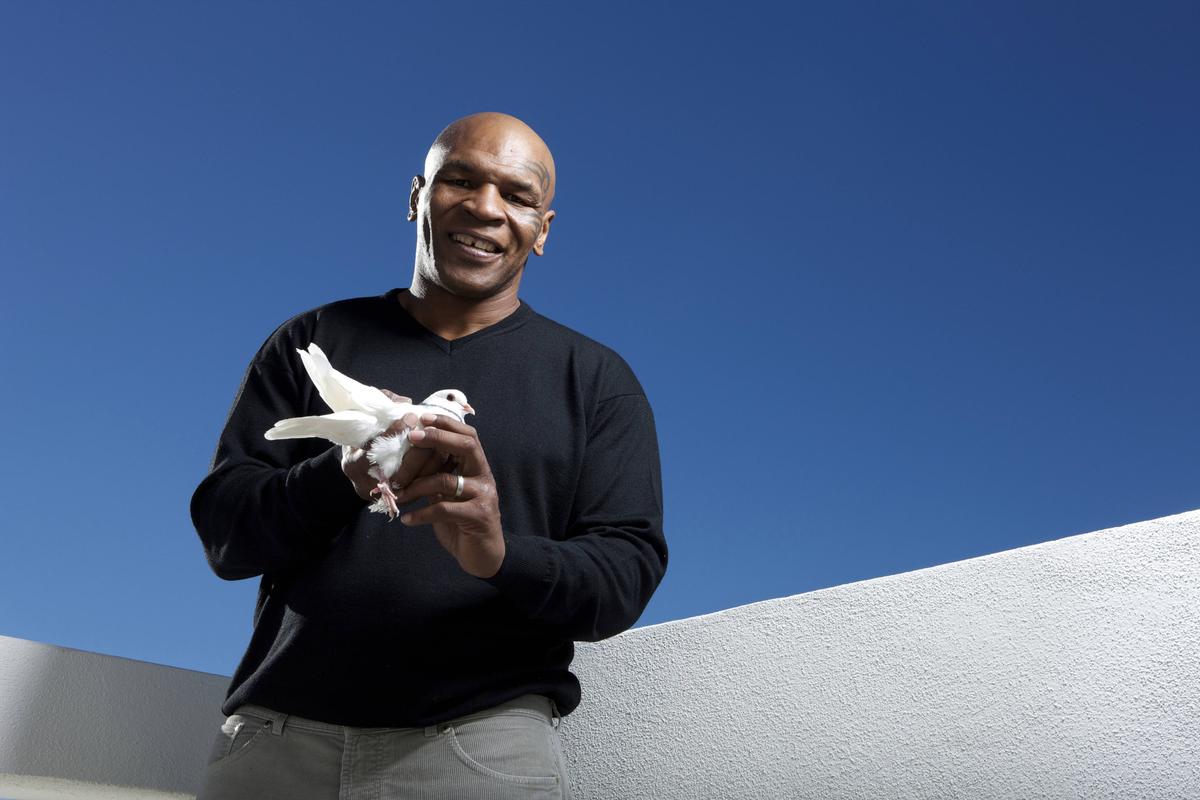 Mike Tyson, editorial răvășitor: de ce e pasionat de porumbei și momentul care l-a motivat să devină pugilist profesionist