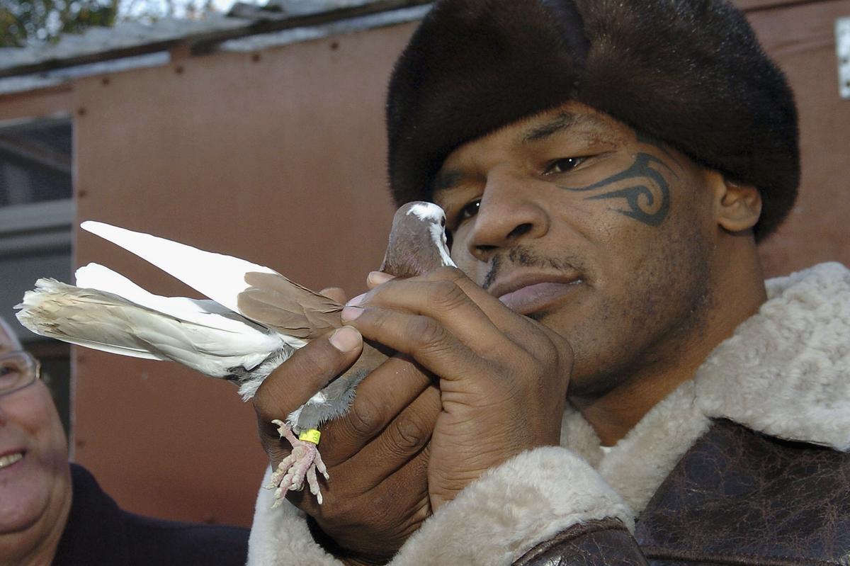 FOTO Mike Tyson, editorial răvășitor: de unde a căpătat pasiunea pentru porumbei și momentul care l-a motivat să devină pugilist profesionist