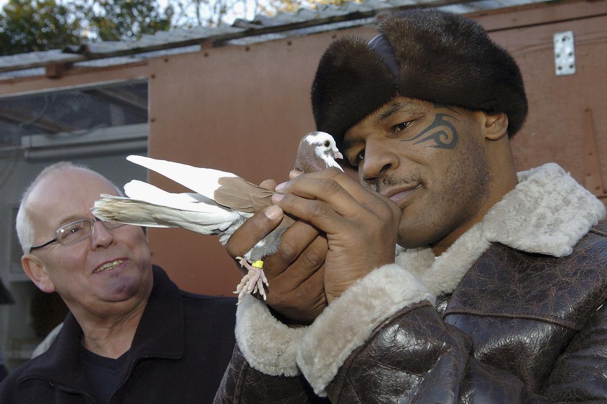 FOTO Mike Tyson, editorial răvășitor: de unde a căpătat pasiunea pentru porumbei și momentul care l-a motivat să devină pugilist profesionist