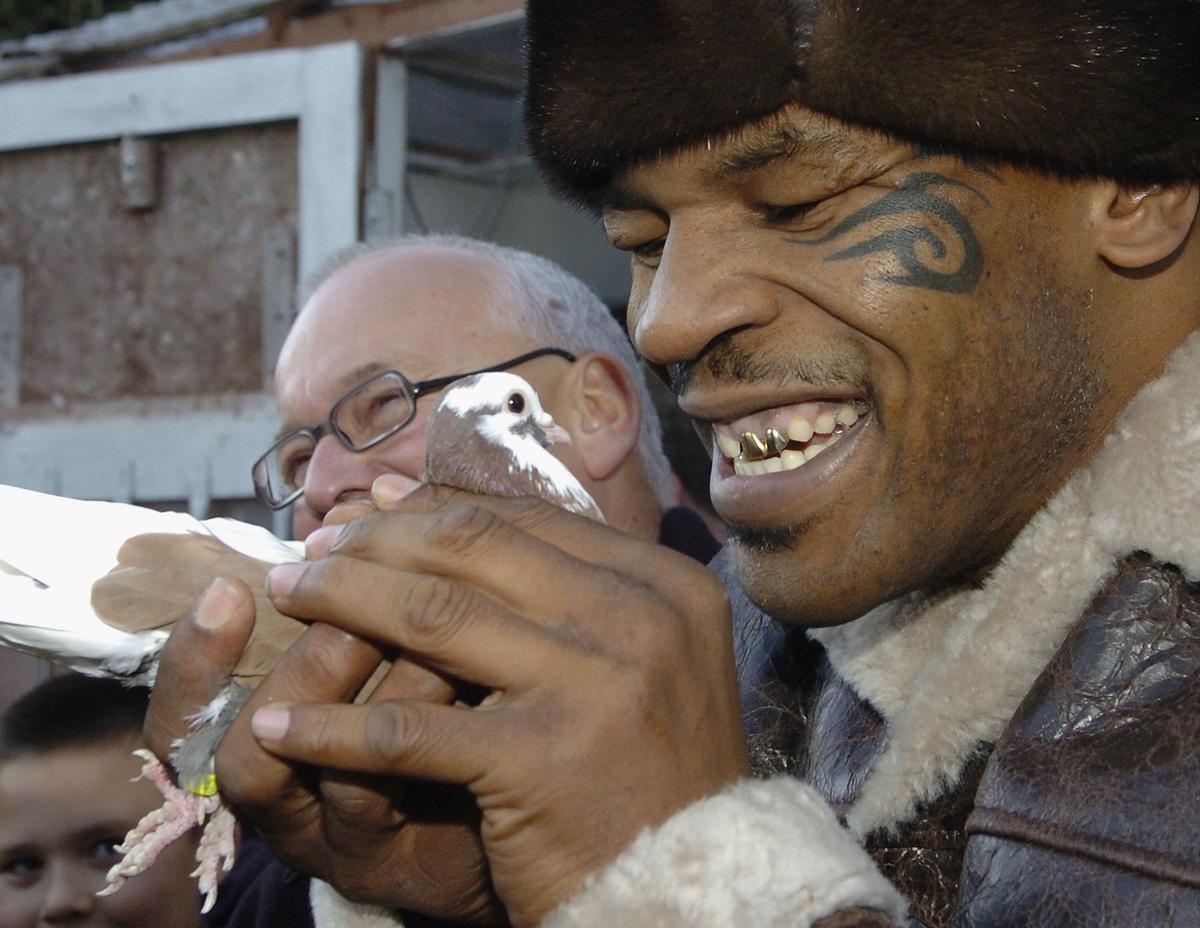FOTO Mike Tyson, editorial răvășitor: de unde a căpătat pasiunea pentru porumbei și momentul care l-a motivat să devină pugilist profesionist