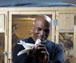 Mike Tyson, editorial răvășitor: de ce e pasionat de porumbei și momentul care l-a motivat să devină pugilist profesionist