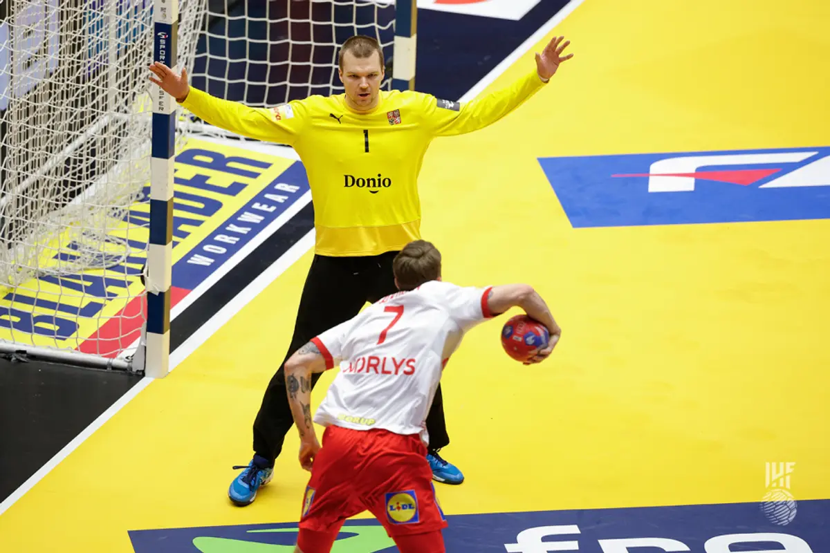 Stupoare în timpul meciului Cehia - Danemarca de la Campionatul Mondial de handbal masculin
