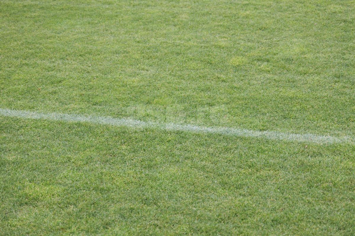 Probleme pentru „câini”? » Cum se prezintă gazonul de pe „Arcul de Triumf”, cu 4 zile înainte de Dinamo - Petrolul