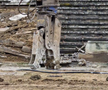 A început demolarea stadionului „Dan Păltinișanu”