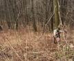 „Aproape am leșinat, aveam halucinații cu oameni în pelerine!” » PREMIERĂ istorică, o femeie a terminat cel mai dur ultramaraton din lume: 60 de ore și elevație de două ori cât Everestul!
