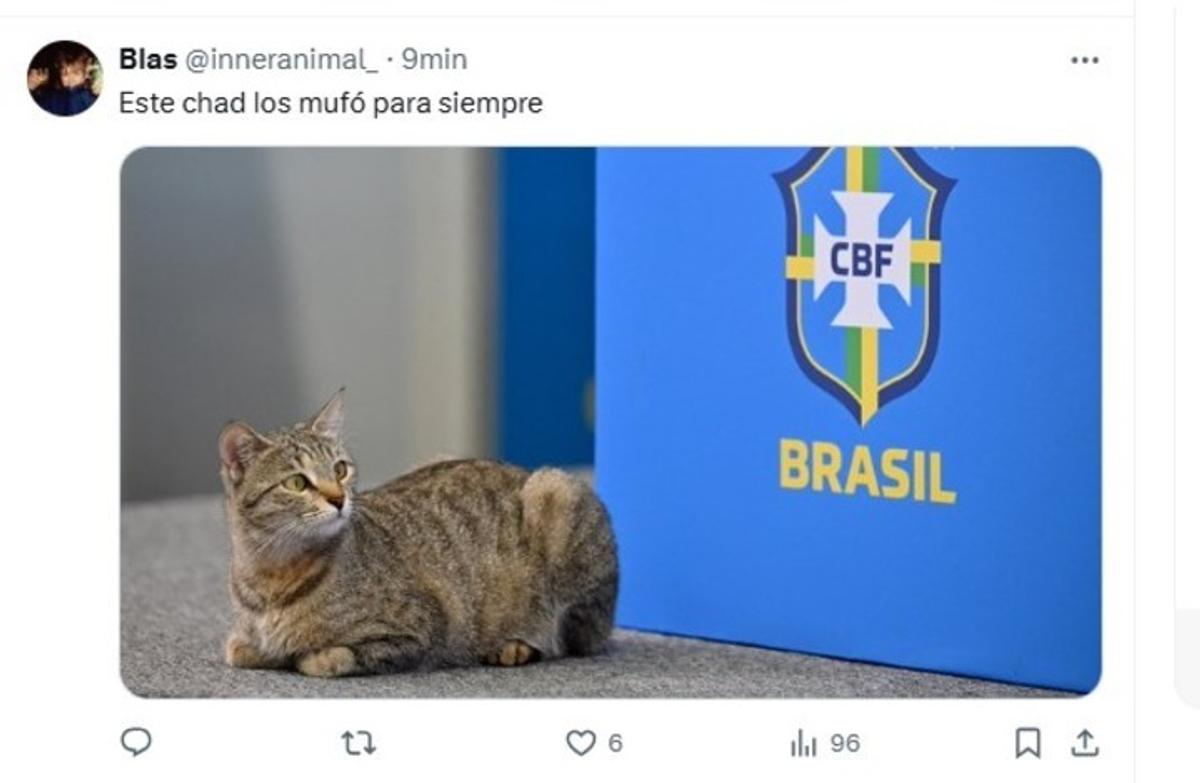 Cele mai tari meme-uri după Argentina - Brazilia 4-1