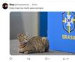 Cele mai tari meme-uri după scorul-fluviu din Argentina - Brazilia: fanii din San Marino au râs și ei de brazilieni