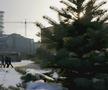 Ce a rămas în urma catastrofei nucleare de la Cernobîl