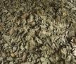Ce a rămas în urma catastrofei nucleare de la Cernobîl