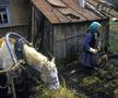 Ce a rămas în urma catastrofei nucleare de la Cernobîl