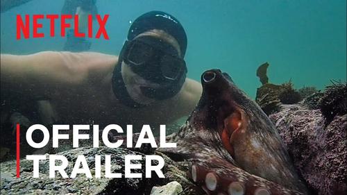 „My Octopus Teacher”, cel mai bun documentar al anului, a reprezentat una dintre marile surprize.