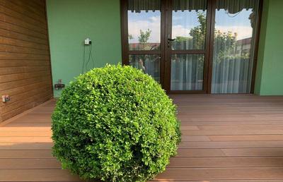 Deck pentru terase din WPC