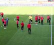 Înainte de Dinamo - FC Voluntari