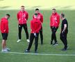Înainte de Dinamo - FC Voluntari