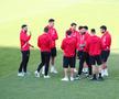 Înainte de Dinamo - FC Voluntari