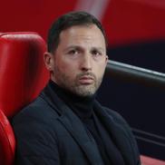 4. Domenico Tedesco, Belgia