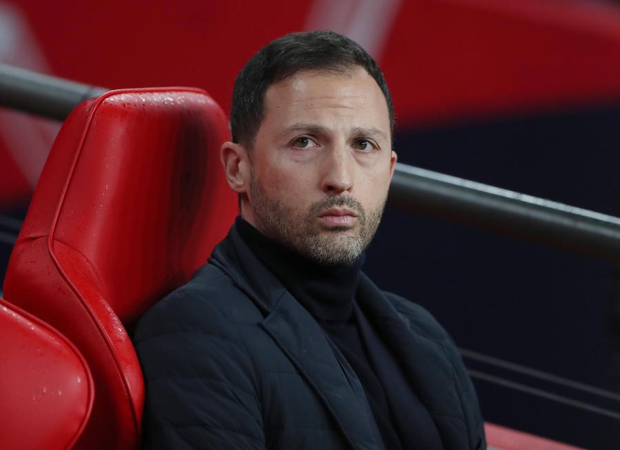Domenico Tedesco, Belgia 5 bune, 5 rele » România e un nou reper de națională! Dar când s-a făcut praf infrastructura în Germania?