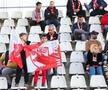 Înainte de Dinamo - FC Voluntari